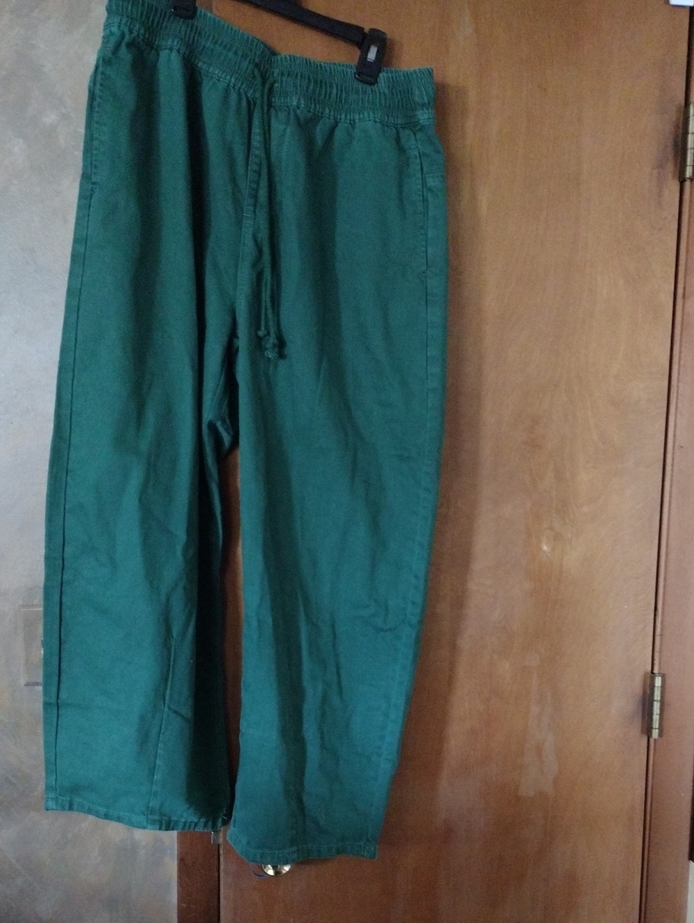 Source Unknown Men's Drawstring Joggers in Forest Green